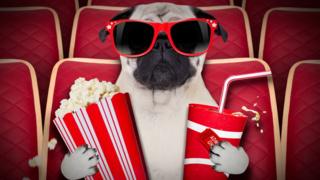Perro en el cine