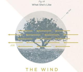 She's Like the Wind