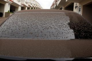 A car is partially covered with ash