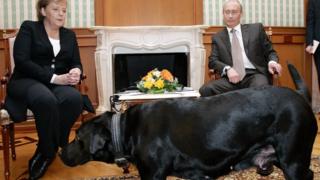 Путин и Меркель