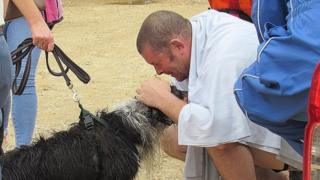 Fly the dog with owner Mark Cowing