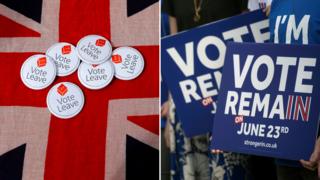 Vote Leave badges and Vote Remain placards