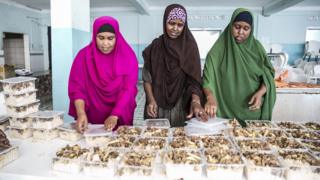 Three somali women putting food into small take away containers - Wednesday 15 May