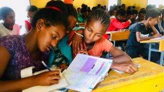 ተምሃሮ