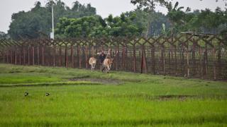 வங்கதேச எல்லை வேலியைக் கடந்து வந்து வாக்களித்த அஸ்ஸாம் கிராமம்