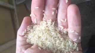fake rice
