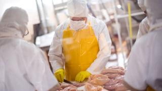 Trabajadores en una fábrica de pollo