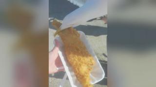 Gull stealing fish