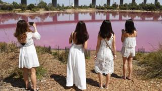 Cuatro mujeres vestidas de blanco toman fotos del lago rosado.