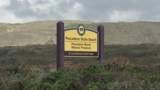 Pescadero State Beach, California