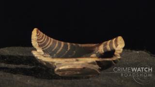 Cwpan Nanteos