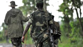 Les FDLR sont régulièrement accusées de commettre des atrocités contre des civils dans l'Est de la RDC.