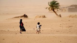 sahara