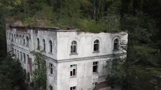 মানুষ নয়, গাছের দখলে থাকা ভুতুড়ে শহর