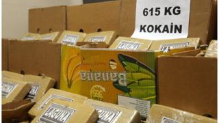 Гиёҳванд моддалар