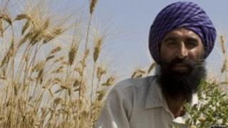 ਪੰਜਾਬ ਦੇ ਕਿਸਾਨ