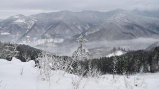 Гори