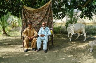 Muhammad, 46 (right), pictured with his ox.