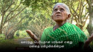 மரங்களின் தாய் திம்மக்கா