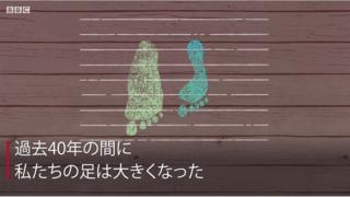 私たちの足は大きくなっている なぜなのか