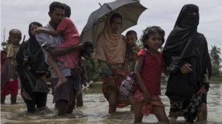 Rohingya