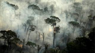 Amazon rainforest on fire.