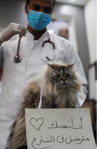 A sad-looking cat sits with a sign around its neck that reads in Arabic: "I love you, don't throw me on the street".