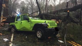 Police say this Massachusetts driver suffered minor injuries after a tree fell on him