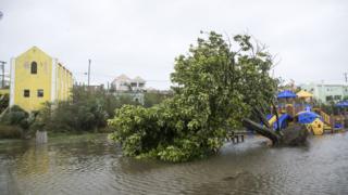 Árbol tumbado en una calle inundada en la Bahía de Mullet, Bermudas.