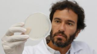 O cientista Júlio César Batista Ferreira em laboratório