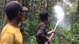 jumpun pambelom, kalimantan tengah