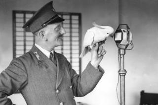 Picture shows zoo keeper with a cockatoo and microphone during an outside broadcast.