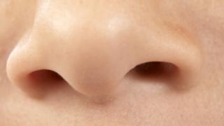Nose