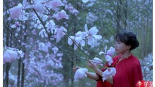 李子柒