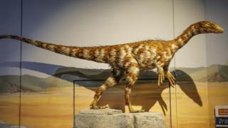 Dracoraptor hanigani lived in south Wales 200 million years ago