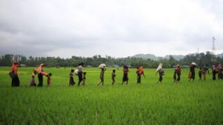 Rohingya refugees from Rakhine State in Myanmar are walking along a path near Teknaf in Bangladesh on September 3, 2017.