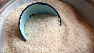 Rice