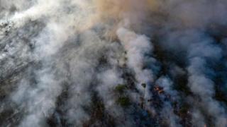 An aerial view of forest fire of the Amazon taken with a drone is seen from an Indigenous territory in the state of Mato Grosso,