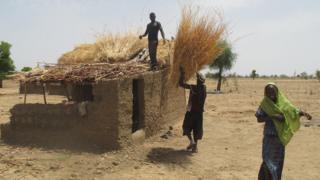 Dans des reportages publiés en 2015 par ces médias, des villageois camerounais accusent l'entreprise d'avoir accaparé leurs terres.