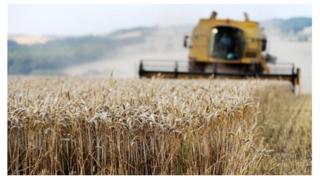 Combine harvester