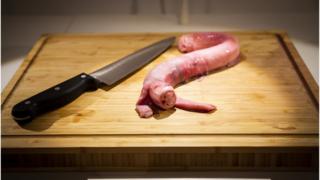 Bull penis
