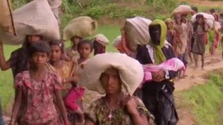 rohingya migrants