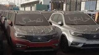 سيارات مكتوب عليها شعار حملة خليها تصدي