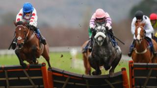 Horses and riders at Taunton Racecourse