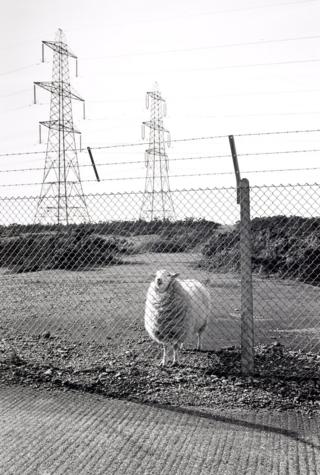 Blocked public footpath in MOD Land; Lydd, 1988