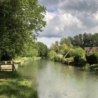 At the Basingstoke canal at Winchfield, Hampshire