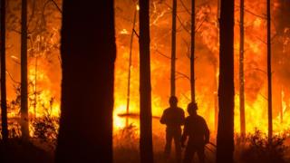 Firefighters battle a forest fire in Vieira de Leiria, Marinha Grande, centre of Portugal, 16 October 2017.