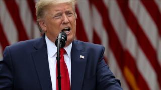 President Trump addressing reporters in the Rose Garden