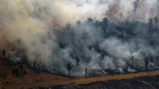 Fire in Amazon