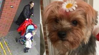 CCTV image of a woman wheeling away a dog in a buggy
